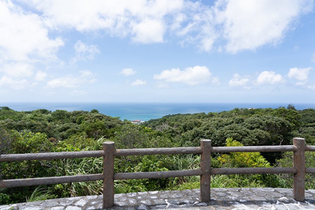 展望台から羽地内海とヤンバルの山々を見渡せます！