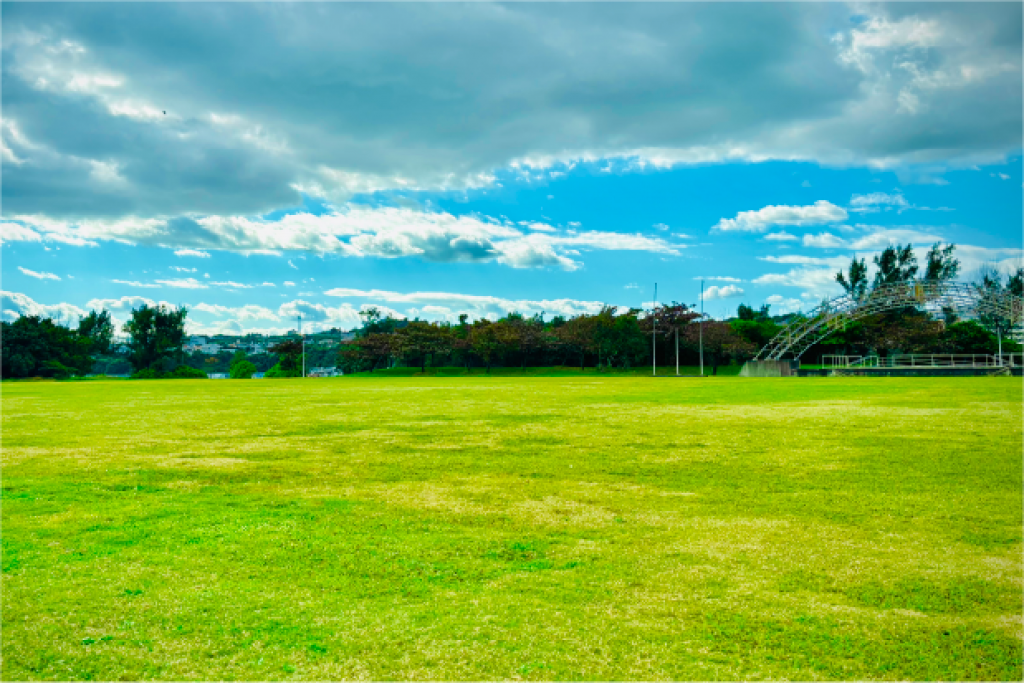 最大40組限定の特大フリーサイト。