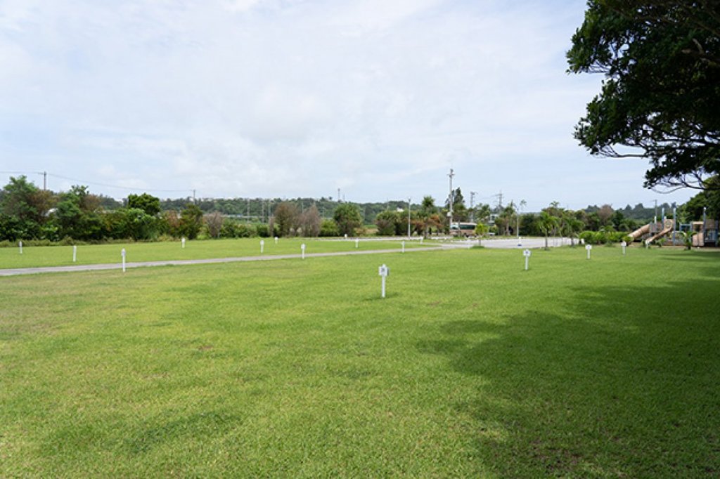駐車場も近く整備された芝生サイト
